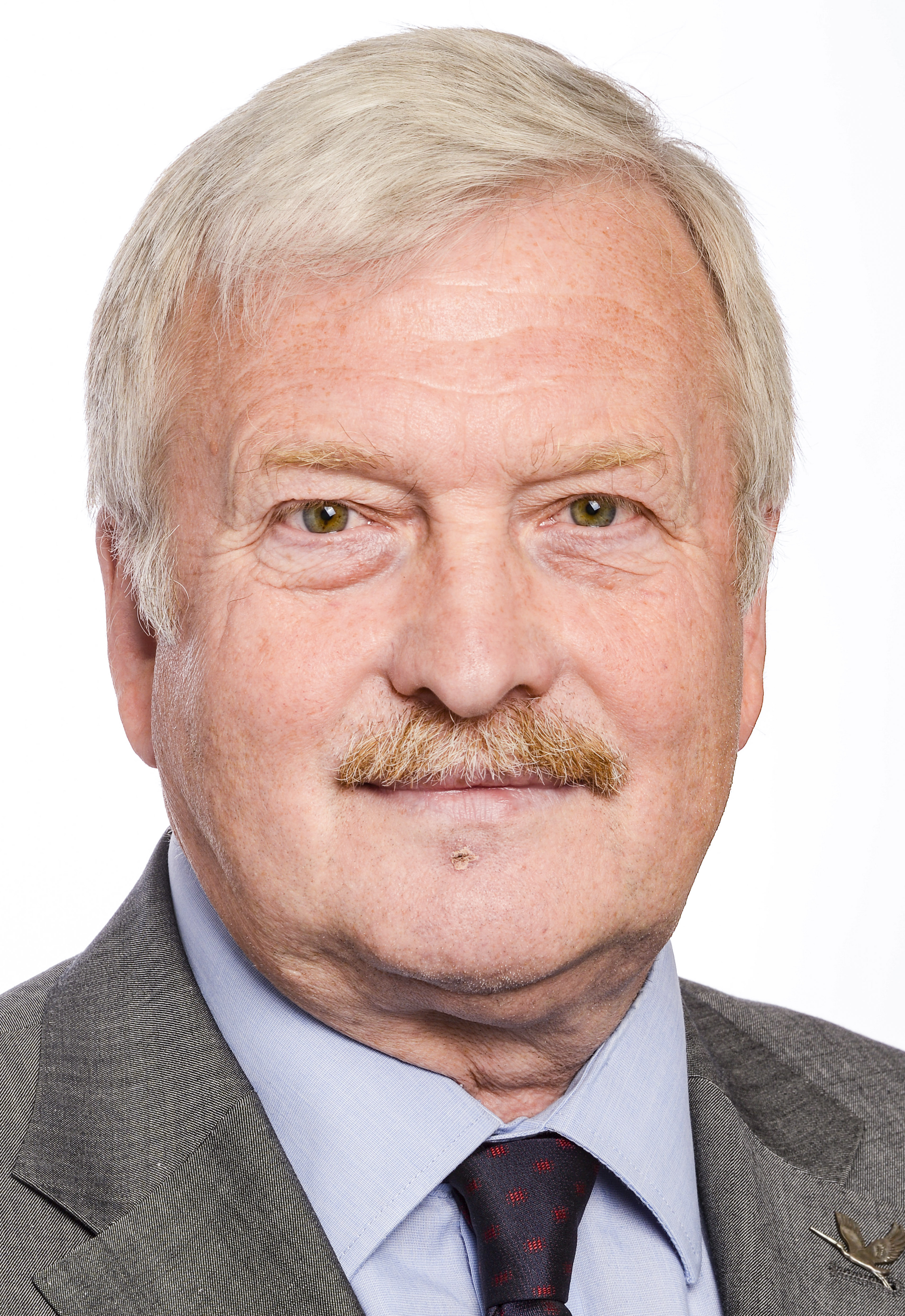 Bronis Ropė