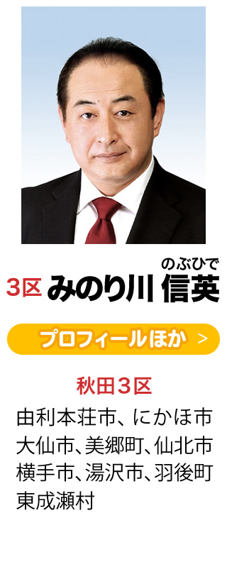 Nobuhide Minorikawa