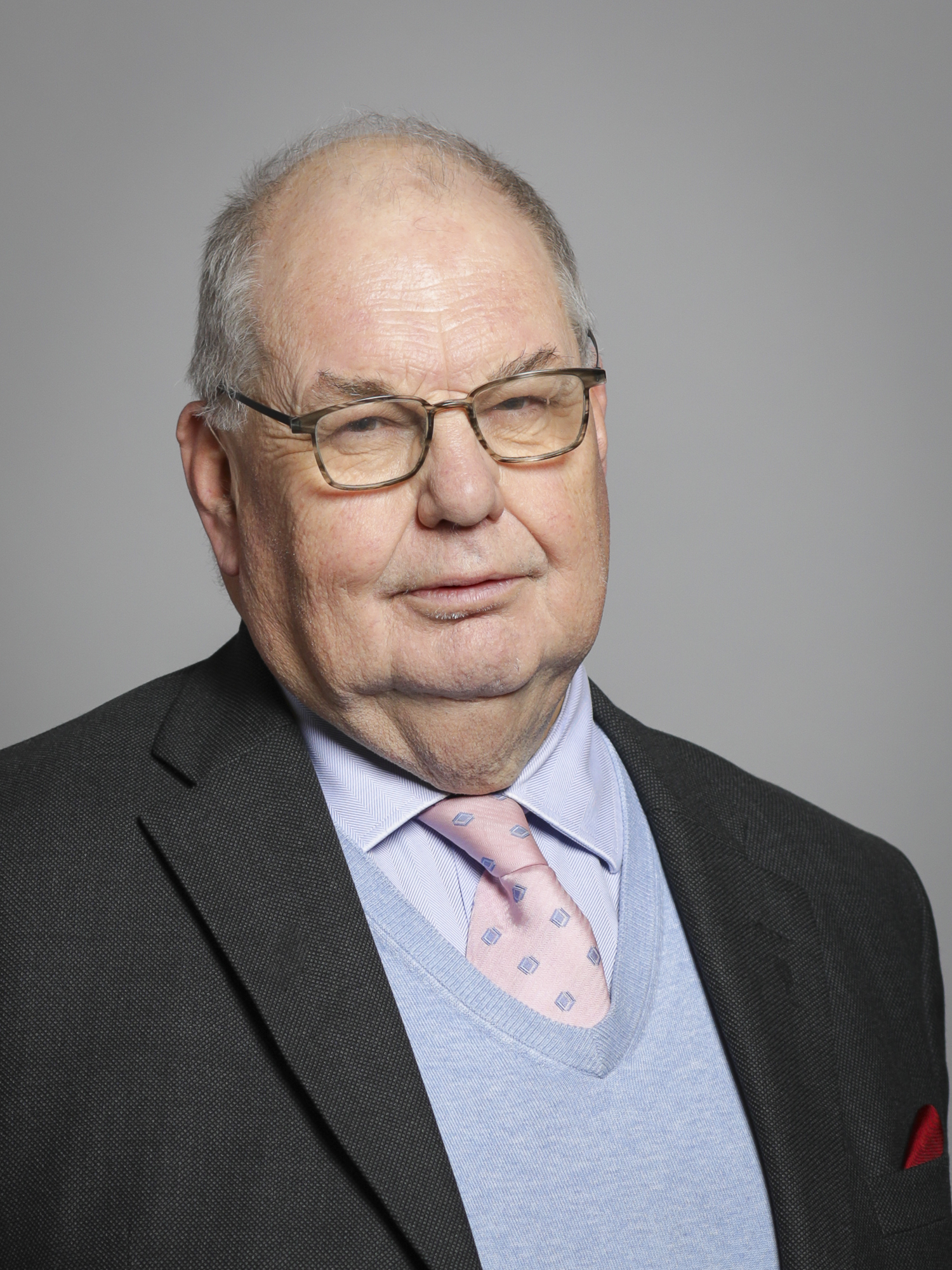 Roger Liddle, Baron Liddle