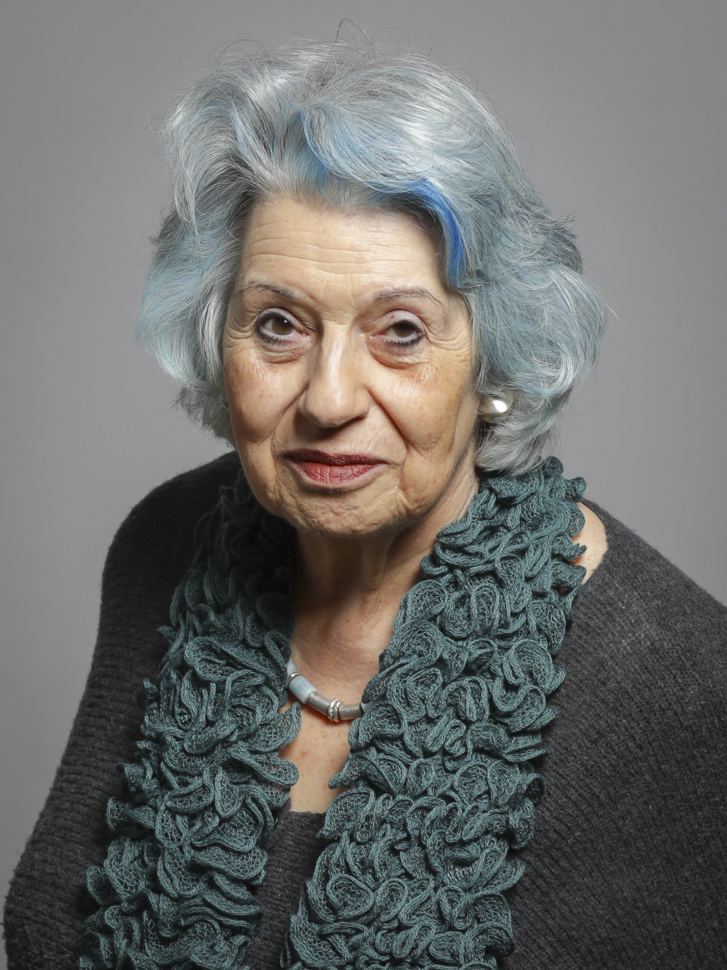 Sally Hamwee, Baroness Hamwee