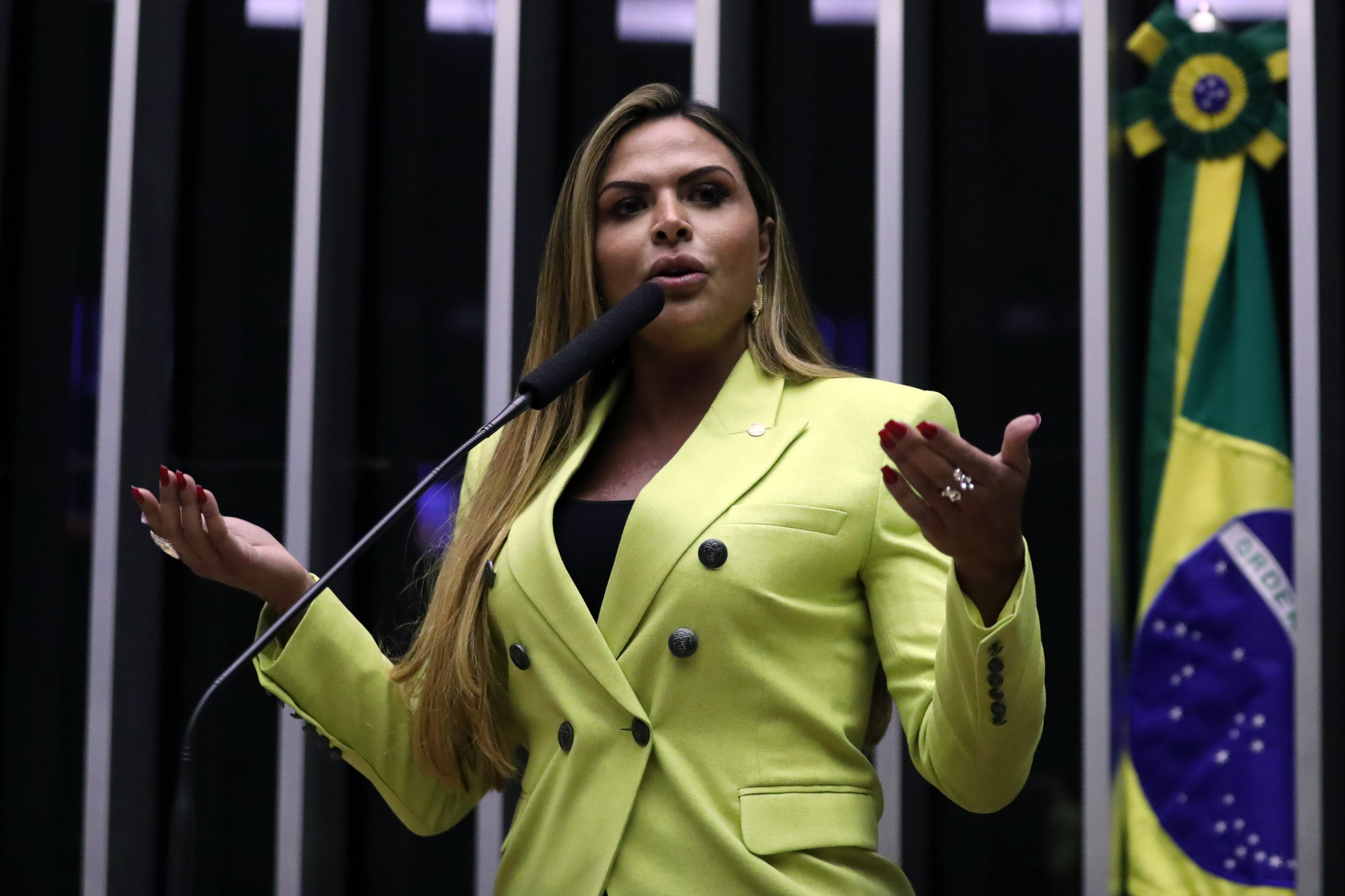 Silvye Alves