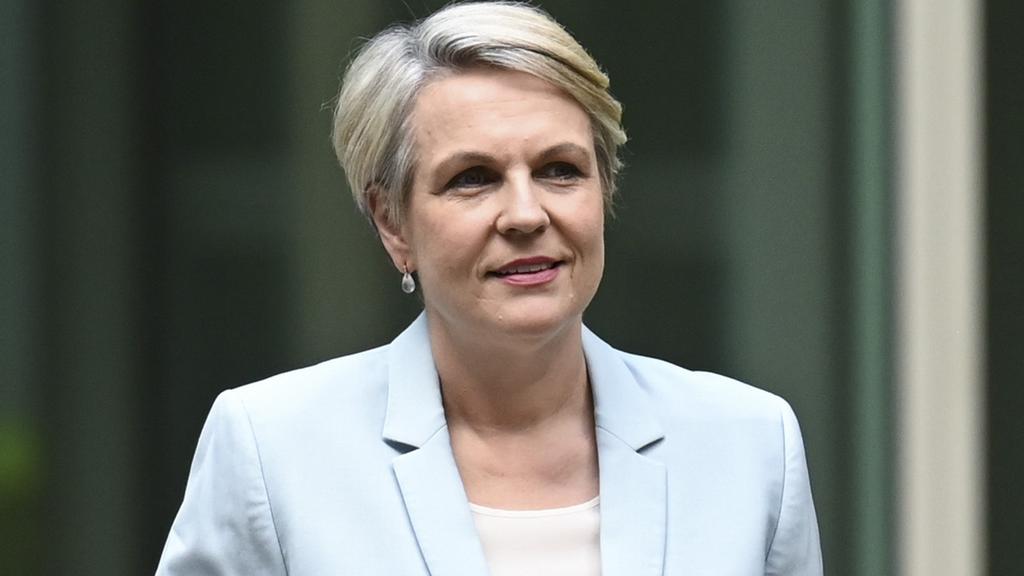 Tanya Plibersek