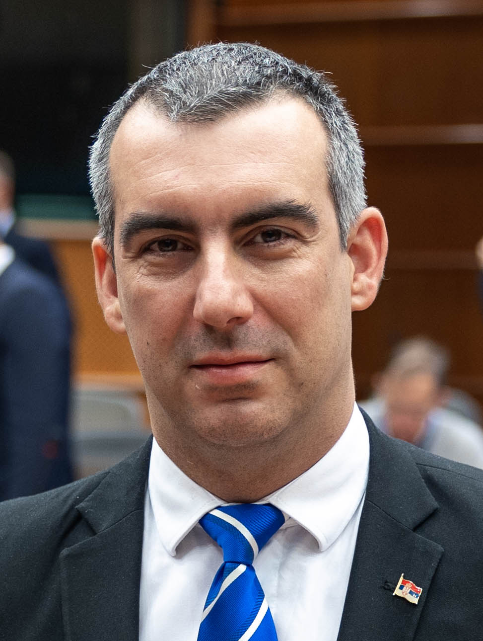 Vladimir Orlić