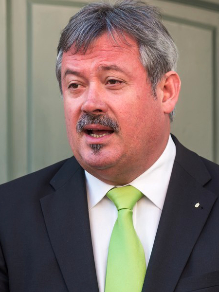 Zsolt V. Németh